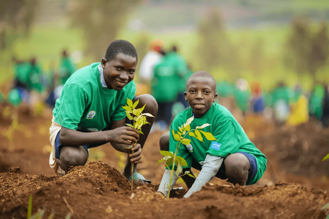 Two boys planting seedlings on a farm